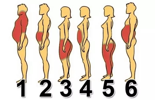因此,很多女生在减到很低的体脂时,肚子,大腿,或者臀部仍会有脂肪堆积